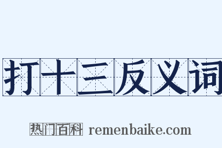 打十三反义词是什么意思的图片